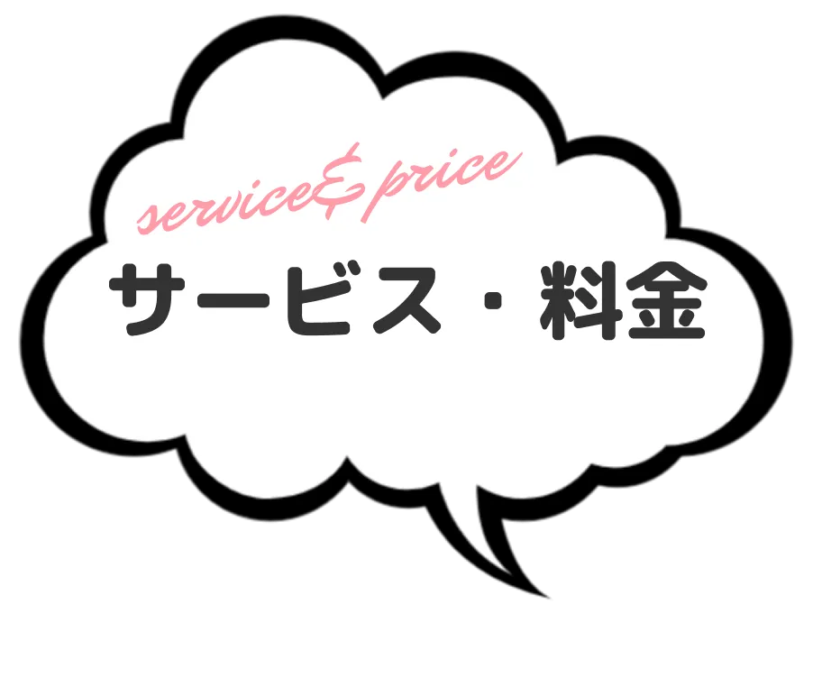結婚相談所アイラマリエのサービス内容と料金を紹介する見出し画像